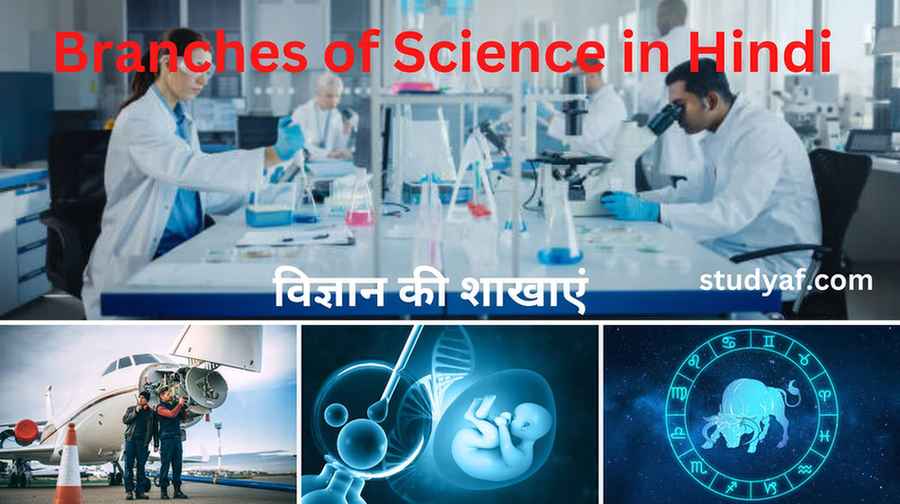 Branches of Science in Hindi