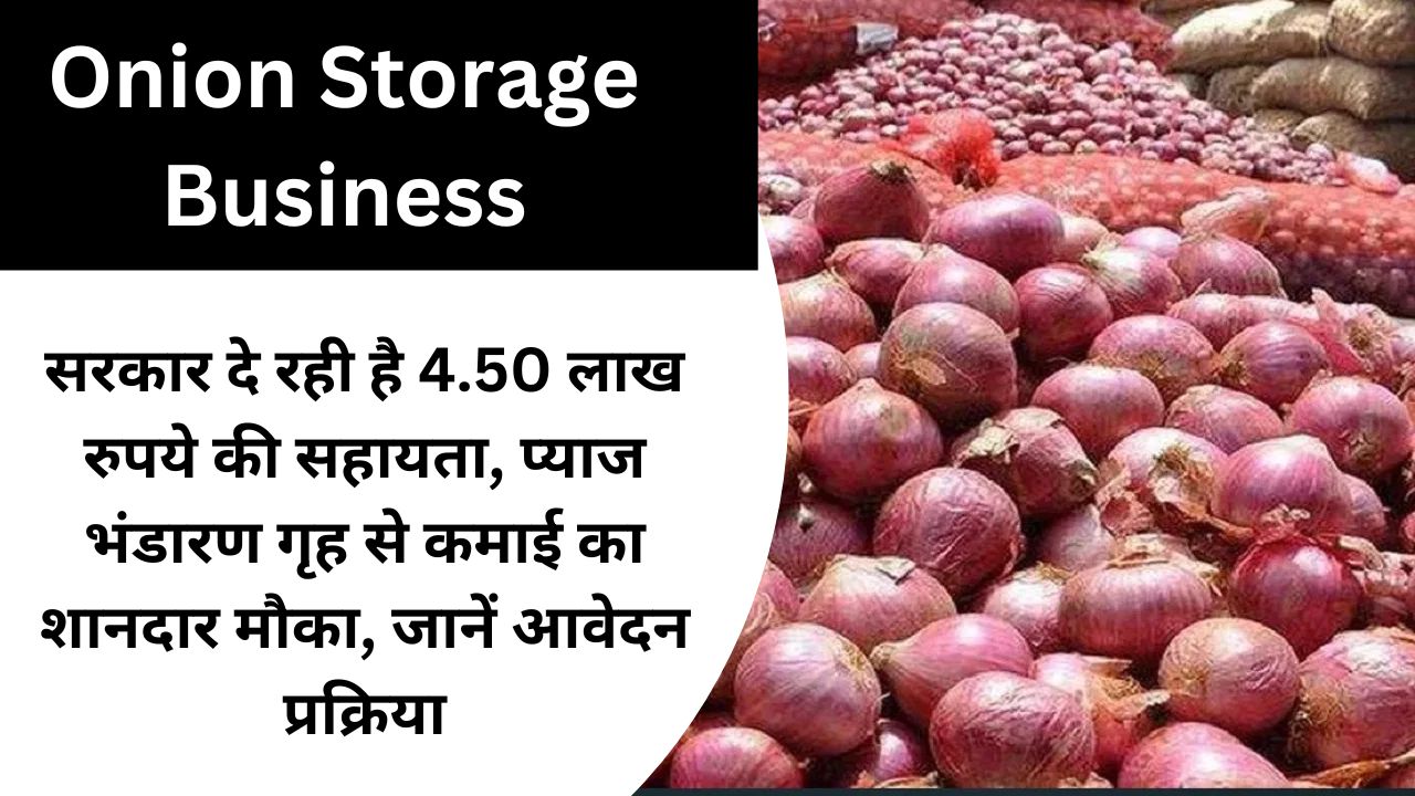 Onion Storage Business